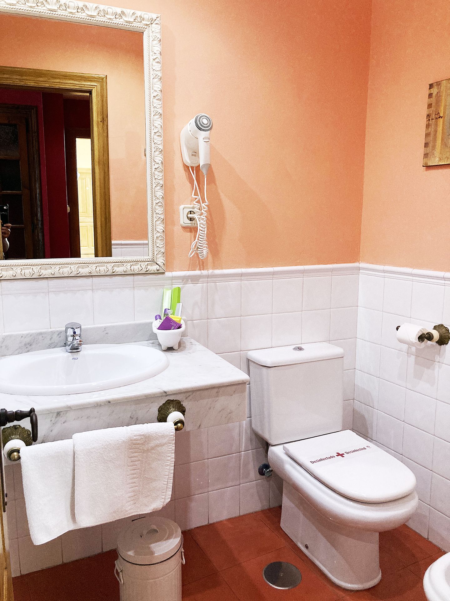 Habitación Especial (con dosel) - Foto 5