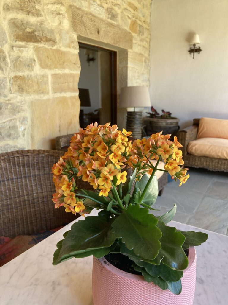 Alrededores - Posada La Casona de los Güelitos 8